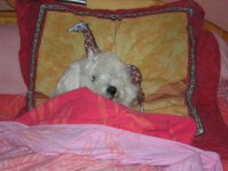 scott_20211130_1174899454